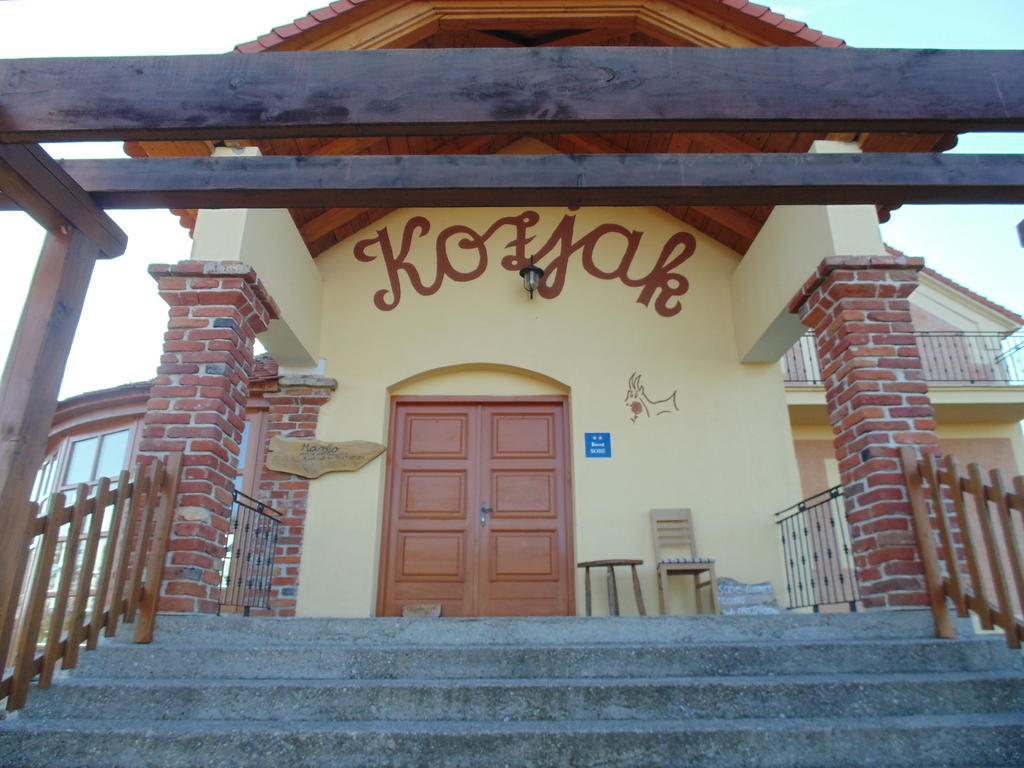 Guest House Kozjak Sveti Kriz Zacretje Ngoại thất bức ảnh